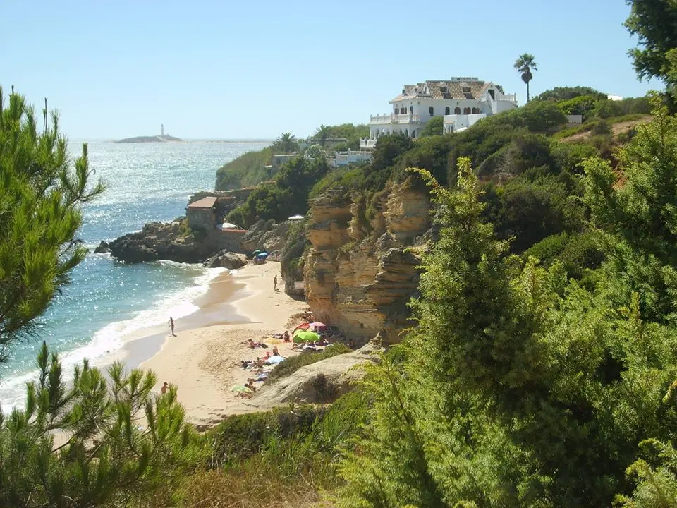 Calas vírgenes